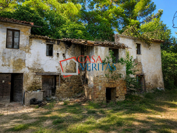 CASA COLONICA + TERRENO 0