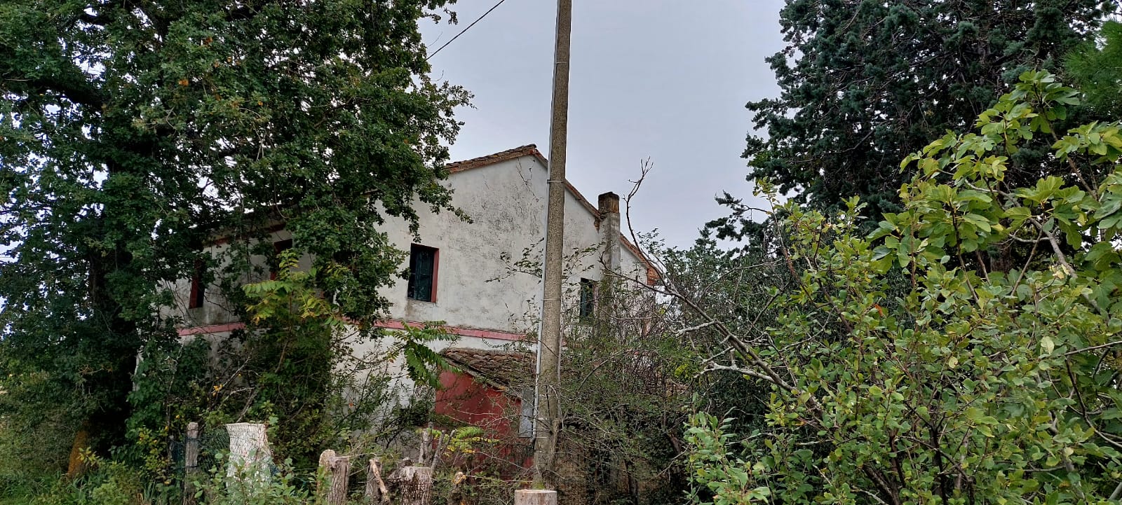 CASA COLONICA + TERRENO 7