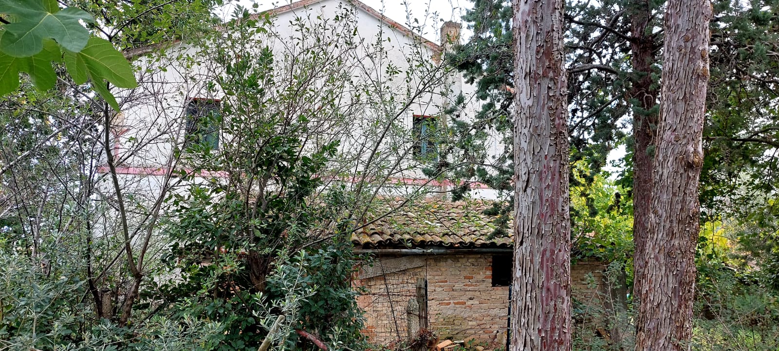 CASA COLONICA + TERRENO 8