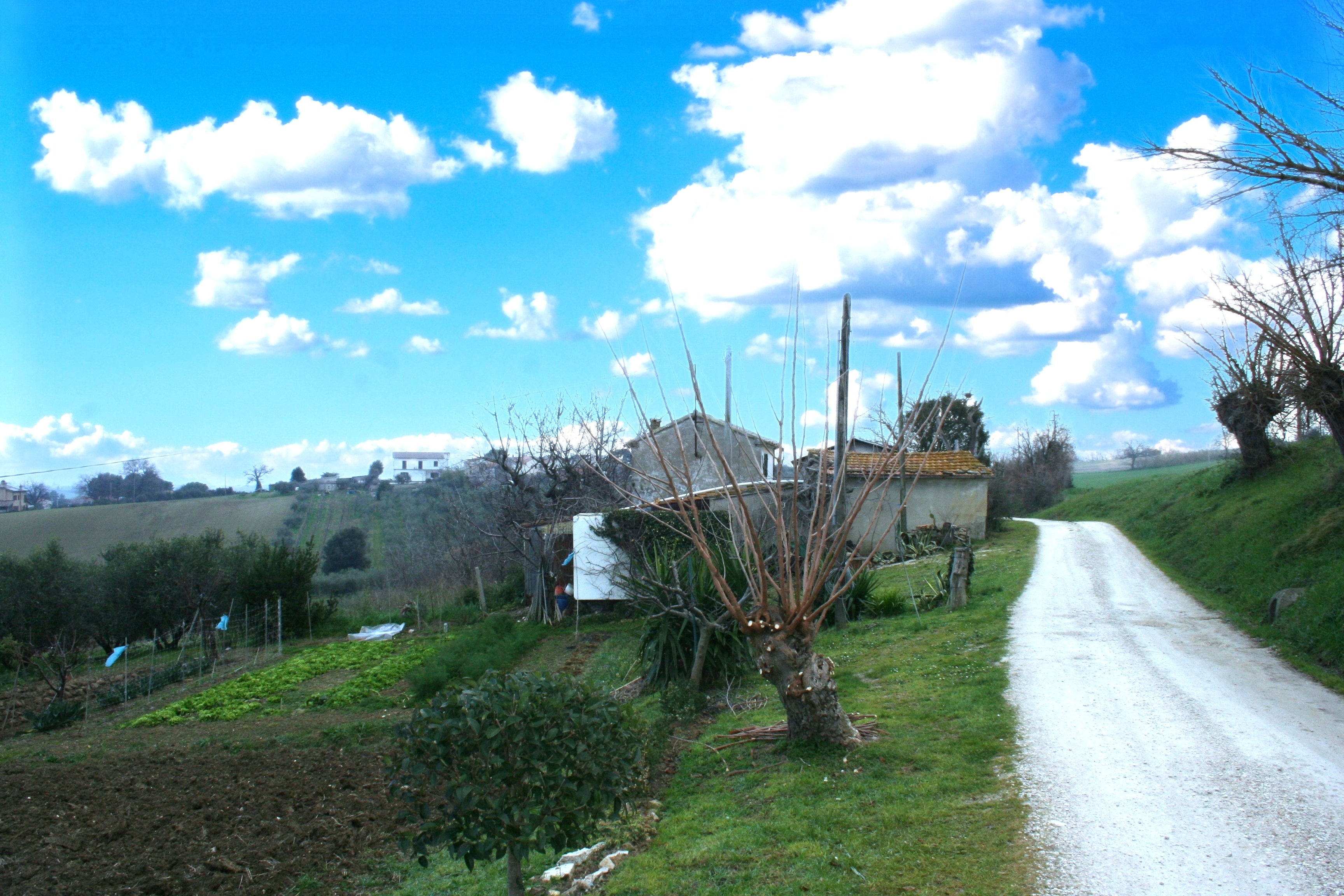 C ASA COLONICA + TERRENO 2