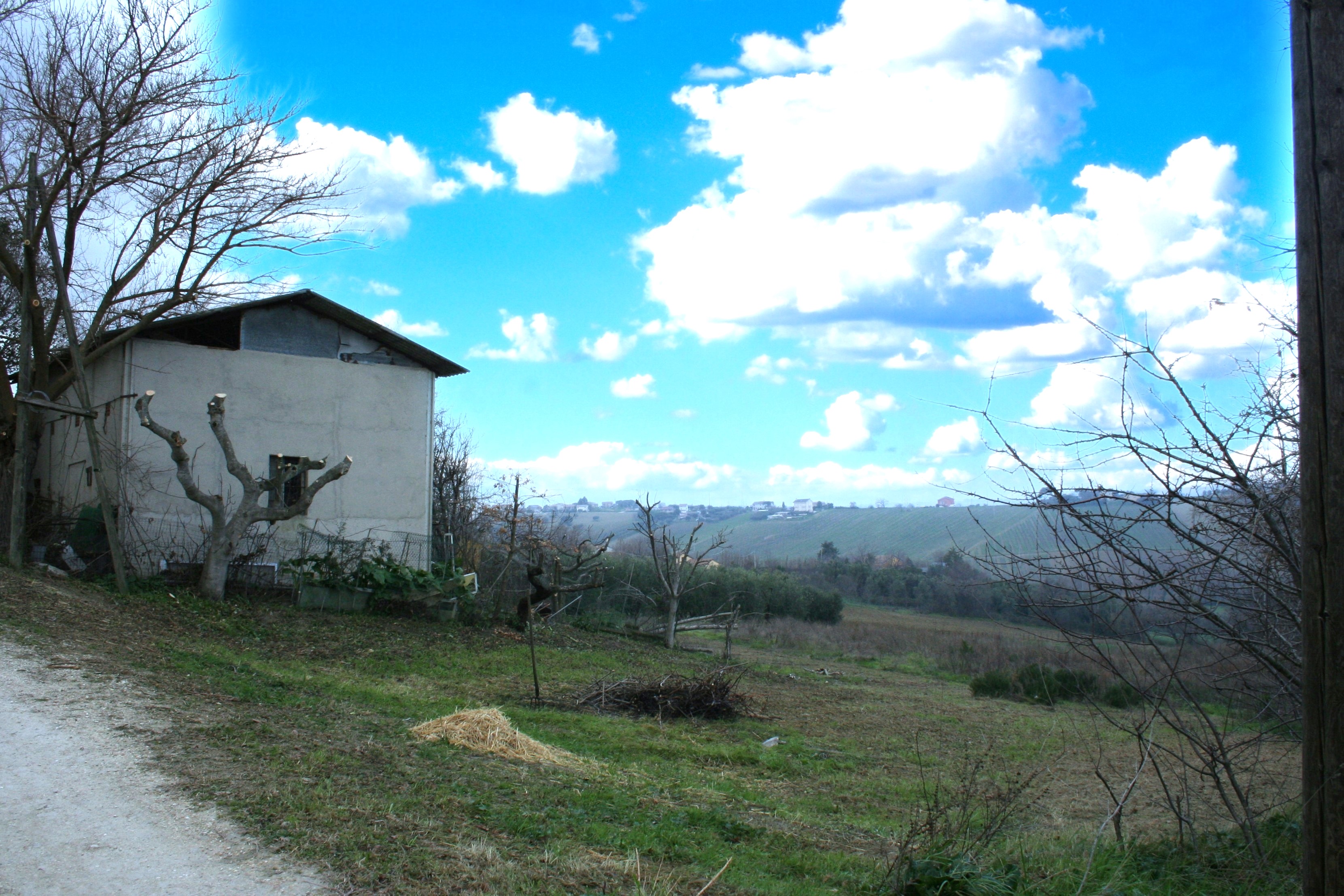 C ASA COLONICA + TERRENO 5