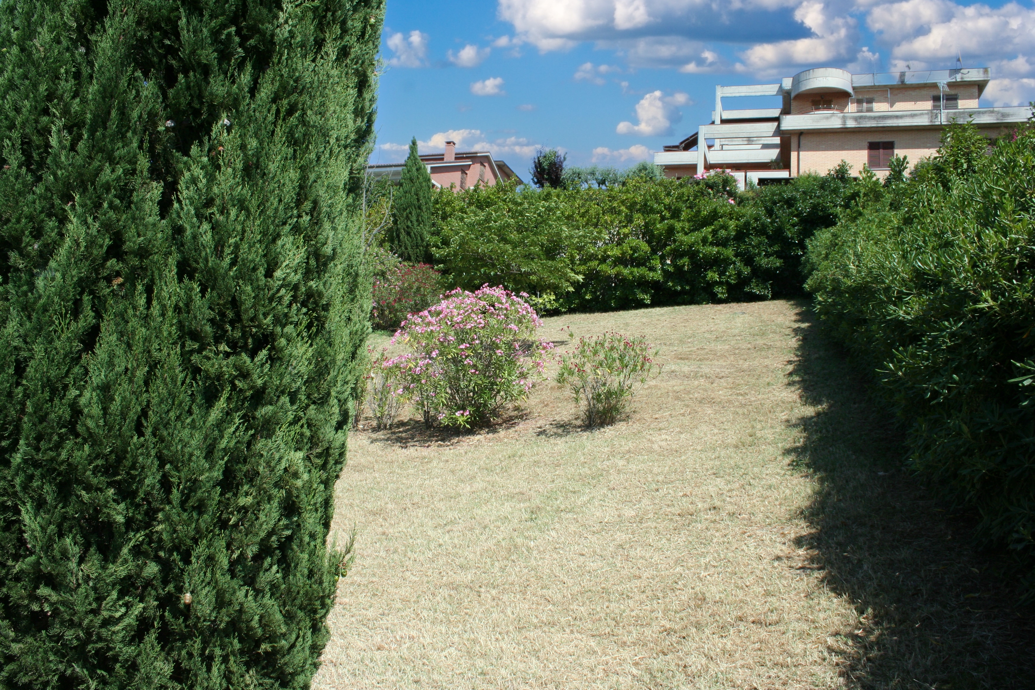 VILLA SINGOLA CON AMPIO GIARDINO 5